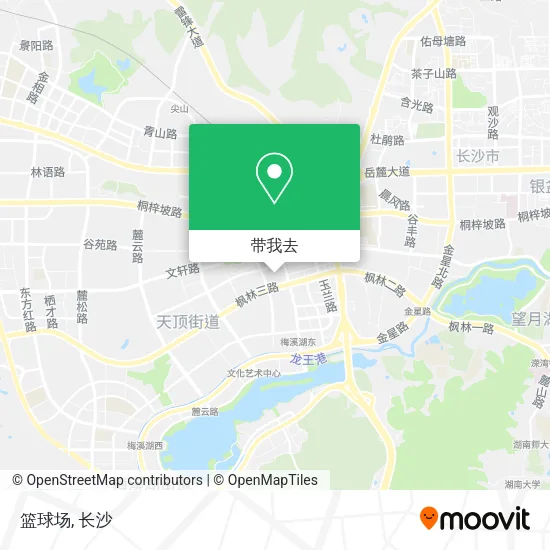 篮球场地图