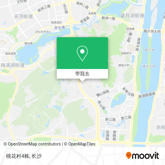 桃花村4栋地图