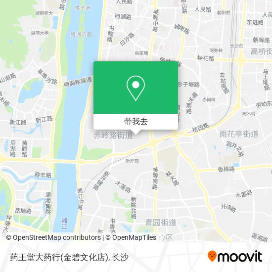药王堂大药行(金碧文化店)地图