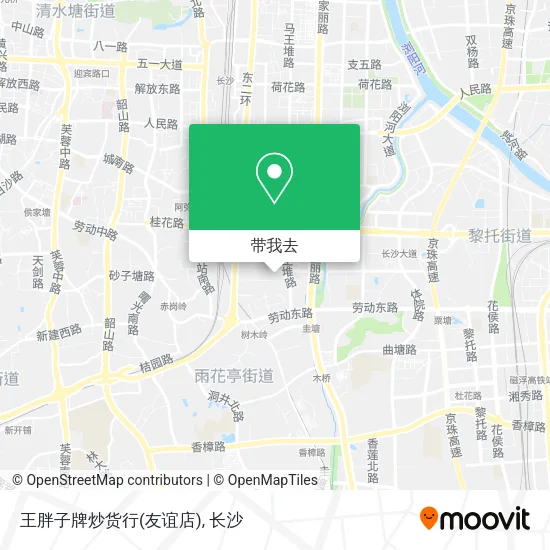 王胖子牌炒货行(友谊店)地图