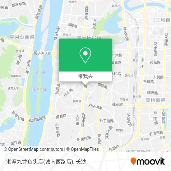 湘潭九龙鱼头店(城南西路店)地图