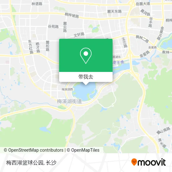 梅西湖篮球公园地图
