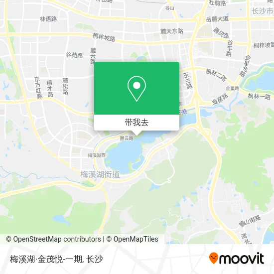 梅溪湖·金茂悦-一期地图