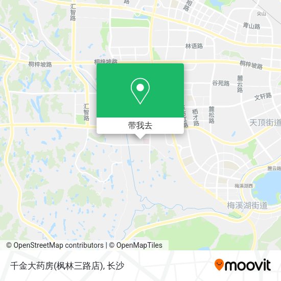 千金大药房(枫林三路店)地图