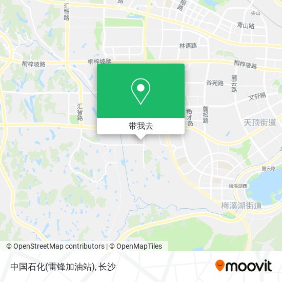 中国石化(雷锋加油站)地图