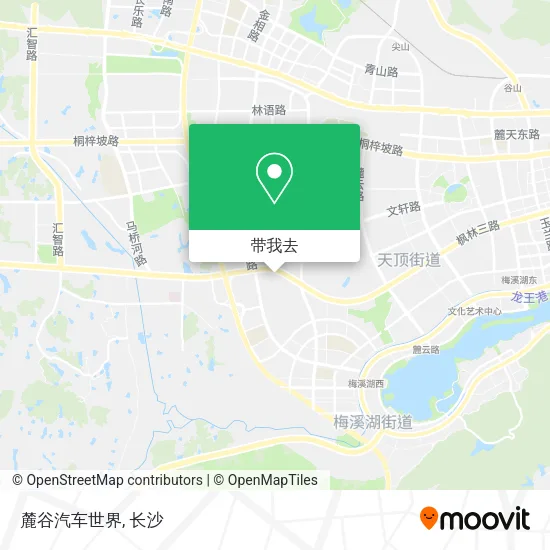 麓谷汽车世界地图