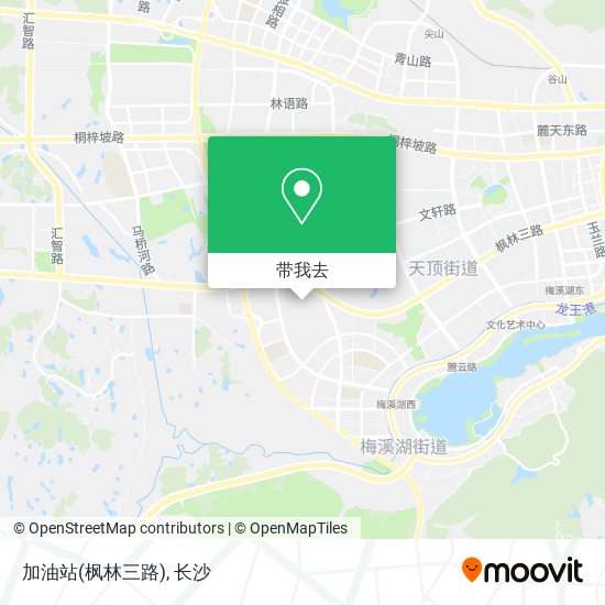 加油站(枫林三路)地图