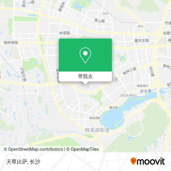 天尊比萨地图