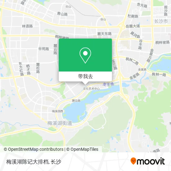 梅溪湖陈记大排档地图