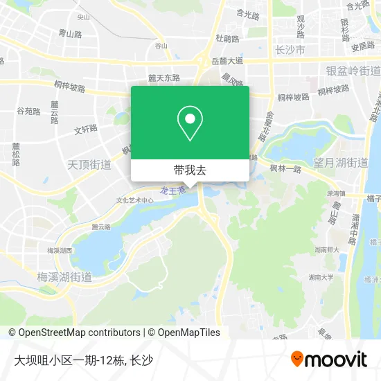 大坝咀小区一期-12栋地图