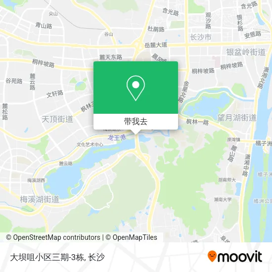 大坝咀小区三期-3栋地图