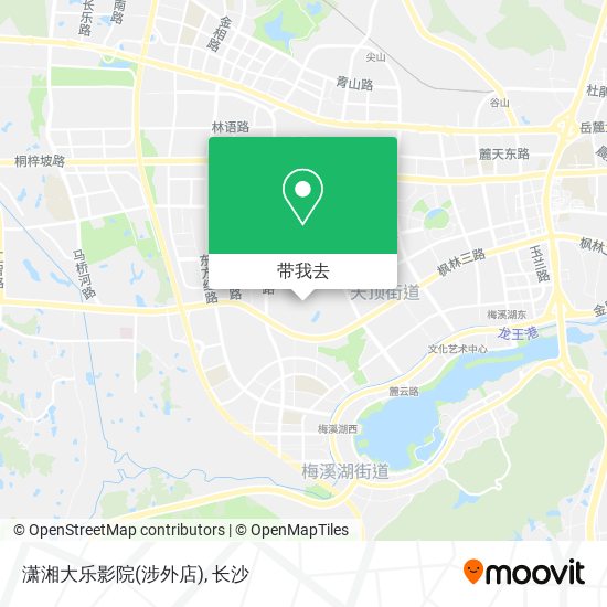 潇湘大乐影院(涉外店)地图
