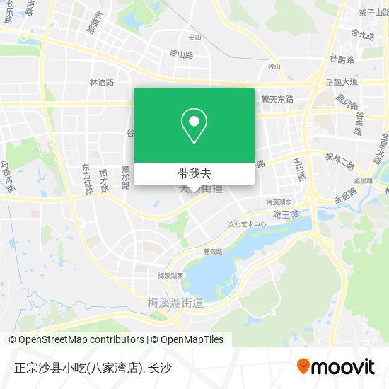 正宗沙县小吃(八家湾店)地图