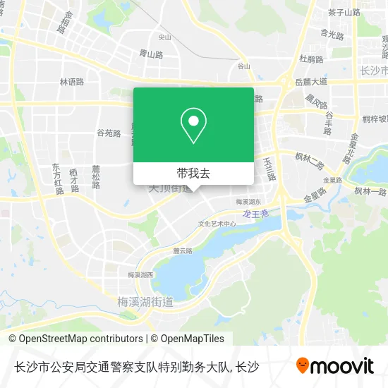 长沙市公安局交通警察支队特别勤务大队地图