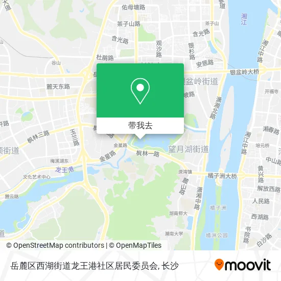 岳麓区西湖街道龙王港社区居民委员会地图