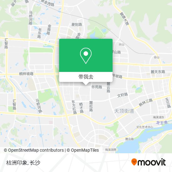 桔洲印象地图