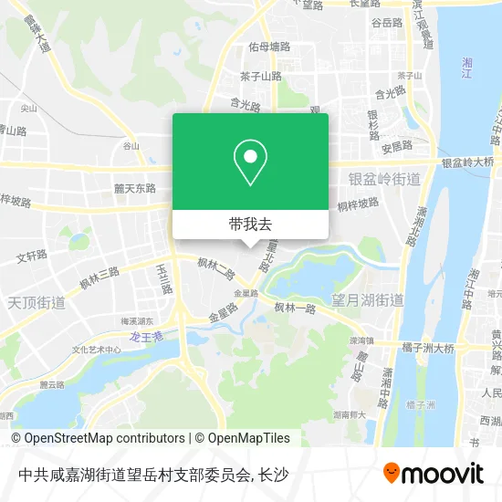 中共咸嘉湖街道望岳村支部委员会地图