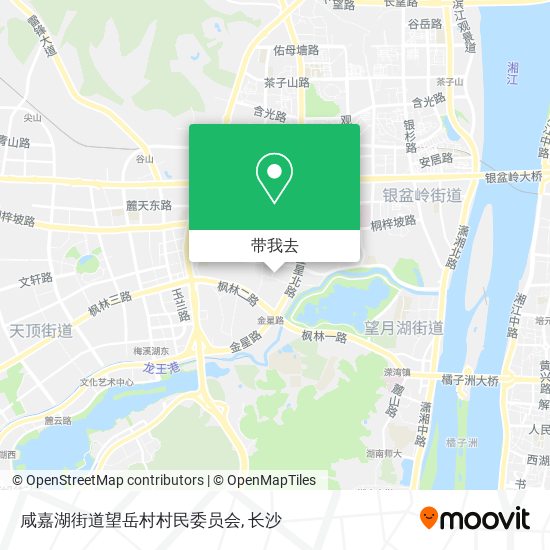 咸嘉湖街道望岳村村民委员会地图