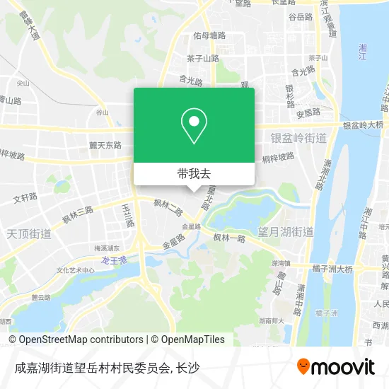 咸嘉湖街道望岳村村民委员会地图