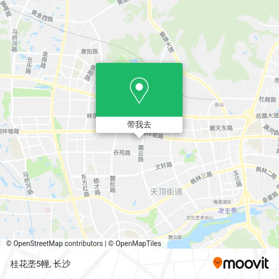 桂花垄5幢地图