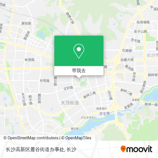 长沙高新区麓谷街道办事处地图