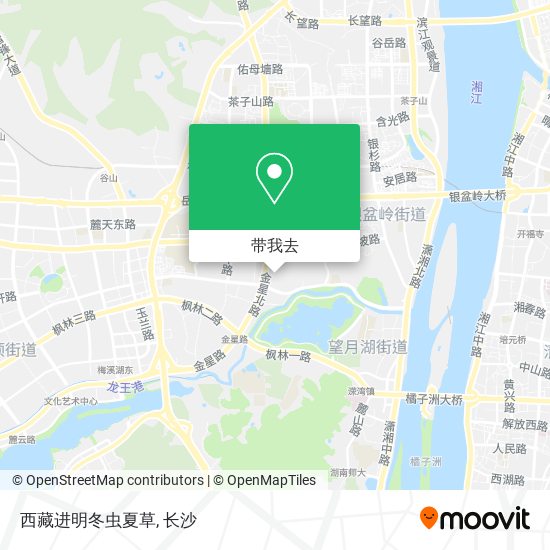 西藏进明冬虫夏草地图