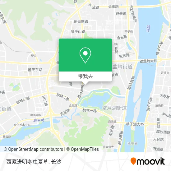 西藏进明冬虫夏草地图