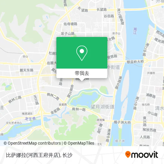 比萨娜拉(河西王府井店)地图
