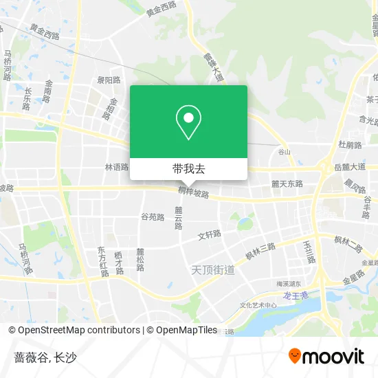 蔷薇谷地图