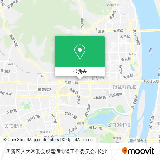 岳麓区人大常委会咸嘉湖街道工作委员会地图