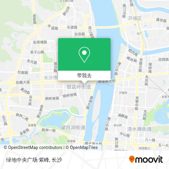 绿地中央广场·紫峰地图