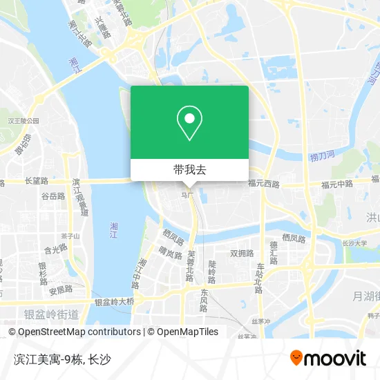 滨江美寓-9栋地图