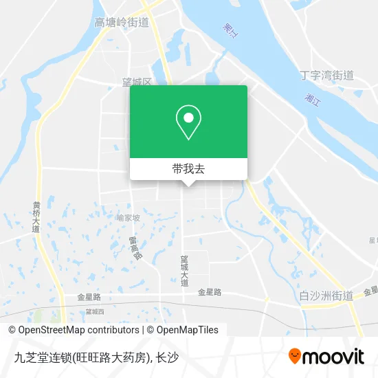 九芝堂连锁(旺旺路大药房)地图