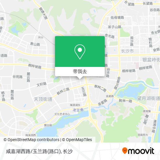 咸嘉湖西路/玉兰路(路口)地图