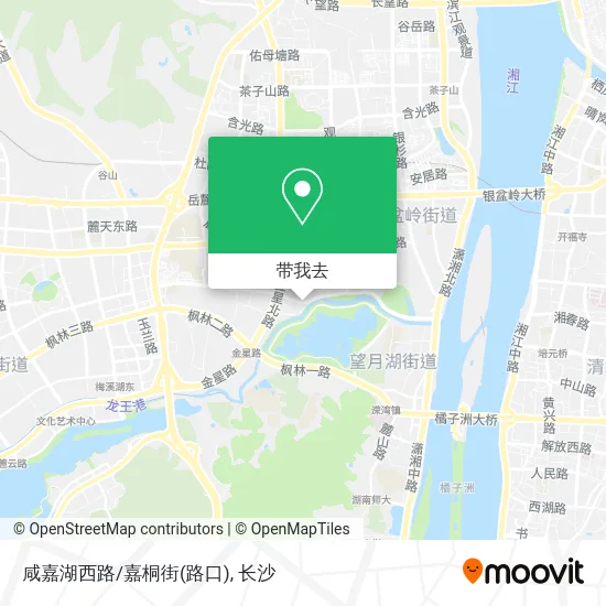 咸嘉湖西路/嘉桐街(路口)地图