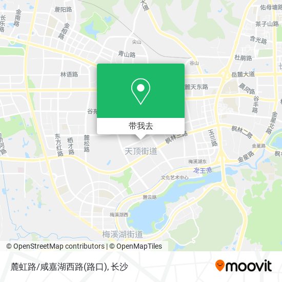 麓虹路/咸嘉湖西路(路口)地图