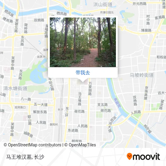 马王堆汉墓地图