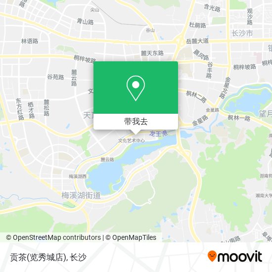 贡茶(览秀城店)地图