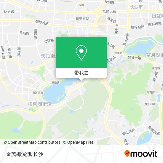 金茂梅溪湖地图