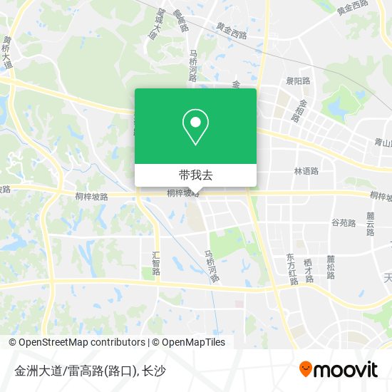 金洲大道/雷高路(路口)地图
