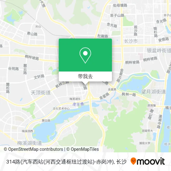 314路(汽车西站(河西交通枢纽过渡站)-赤岗冲)地图