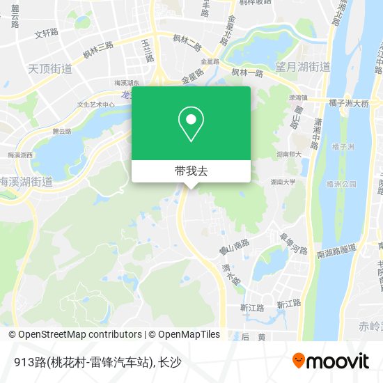 913路(桃花村-雷锋汽车站)地图