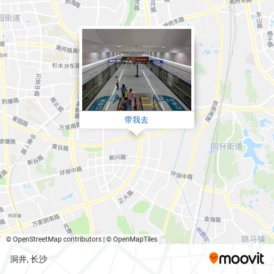 洞井地图