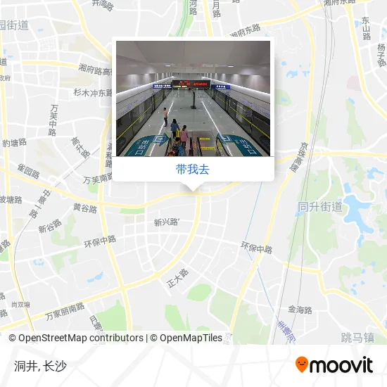 洞井地图