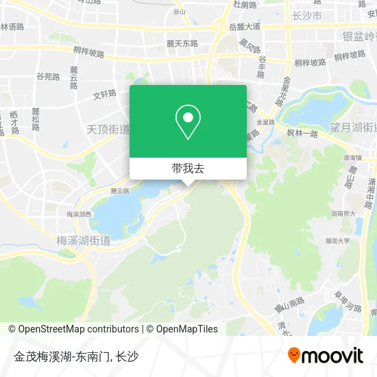 金茂梅溪湖-东南门地图