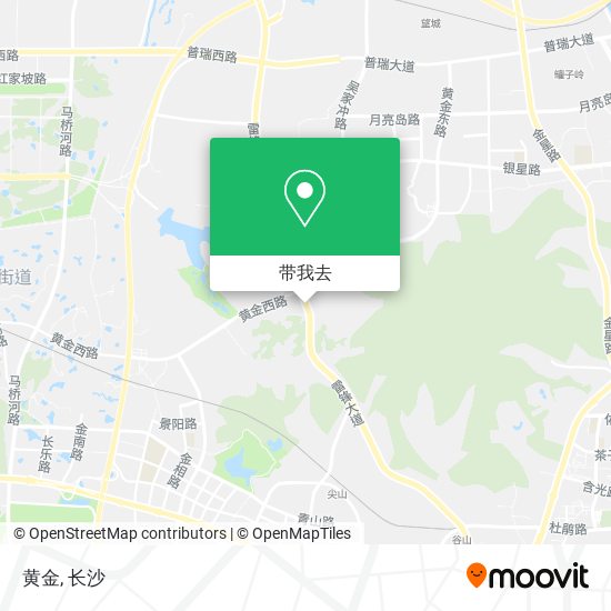 黄金地图