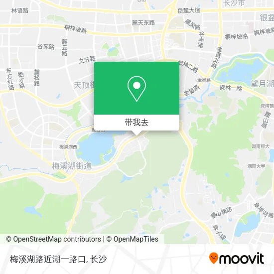 梅溪湖路近湖一路口地图