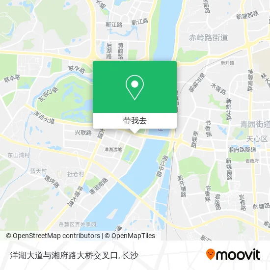 洋湖大道与湘府路大桥交叉口地图