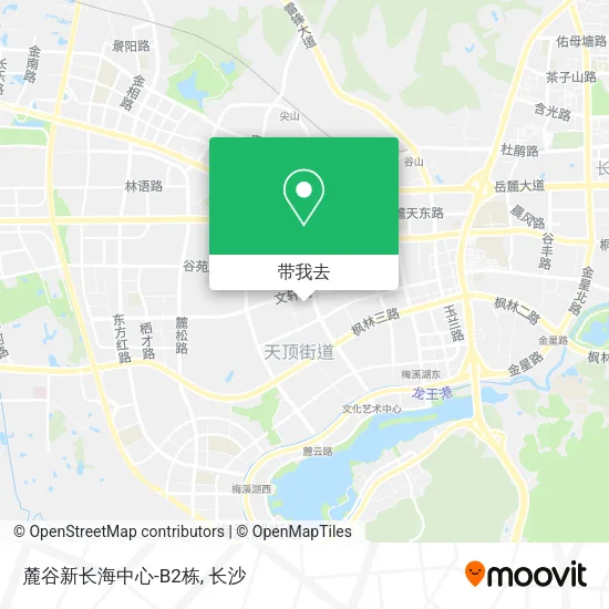 麓谷新长海中心-B2栋地图