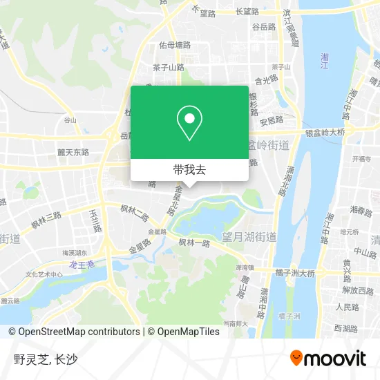 野灵芝地图